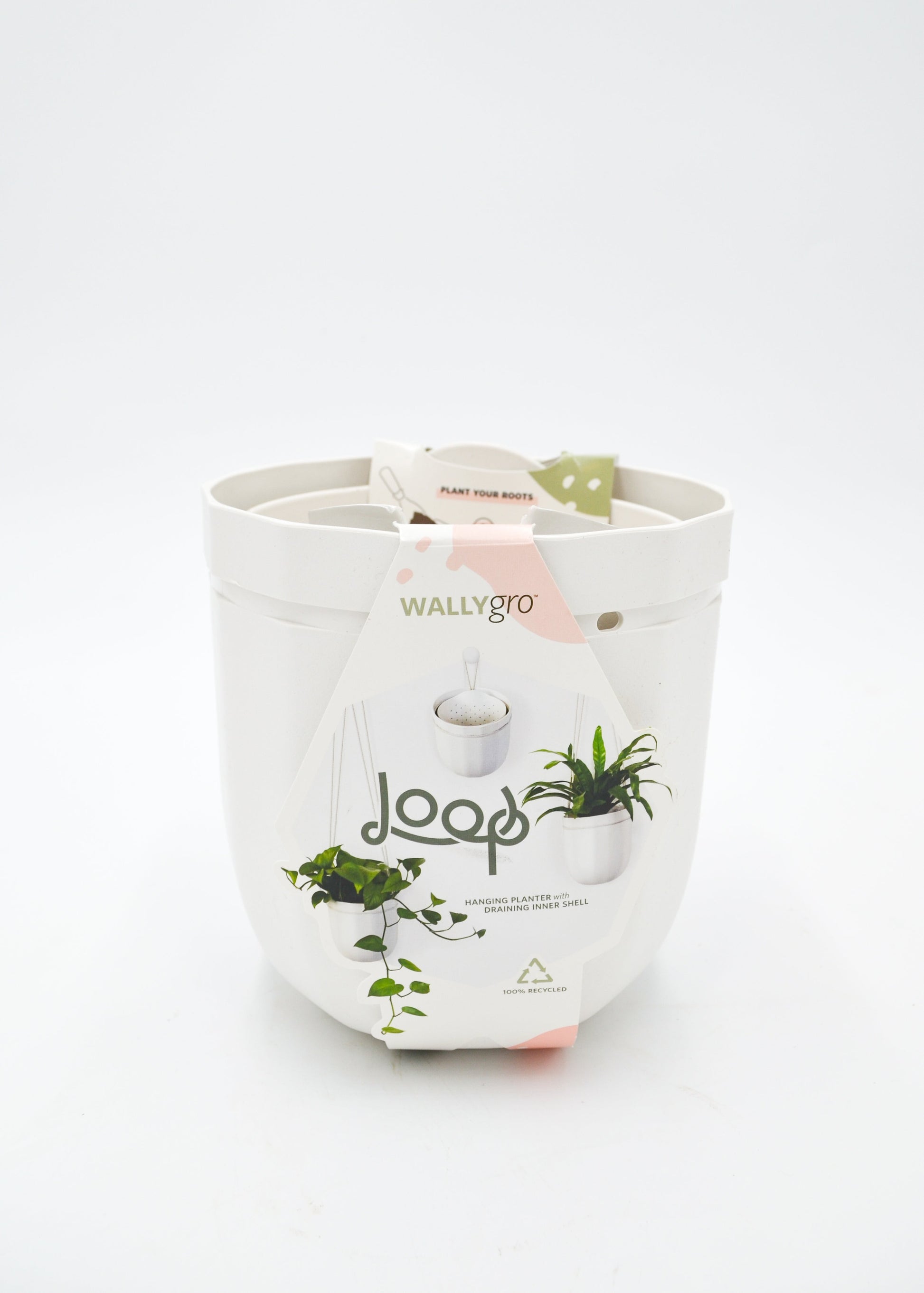 Loop WallyGro Planters (10 Colors Available) by Wild Lark