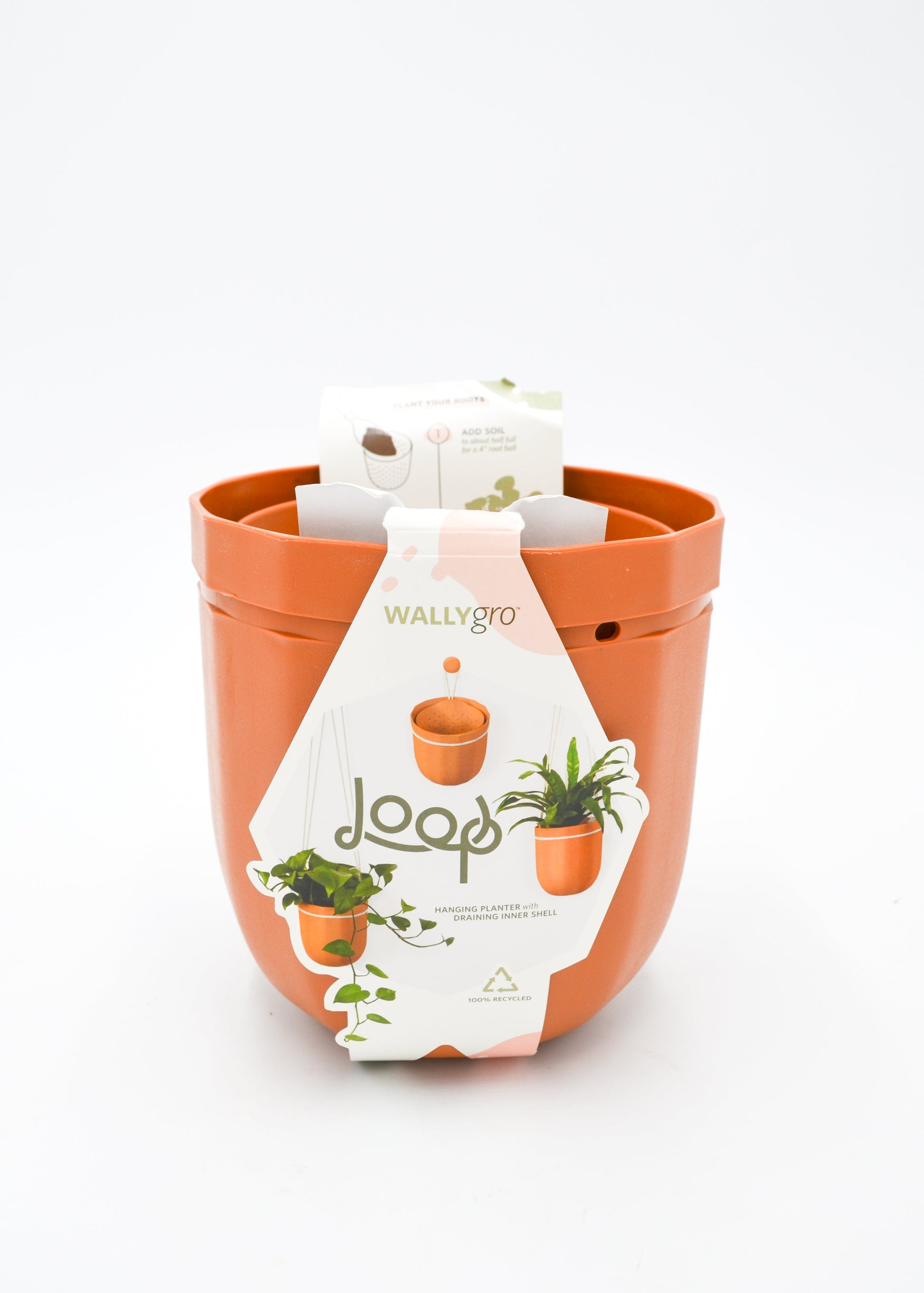 Loop WallyGro Planters (10 Colors Available) by Wild Lark