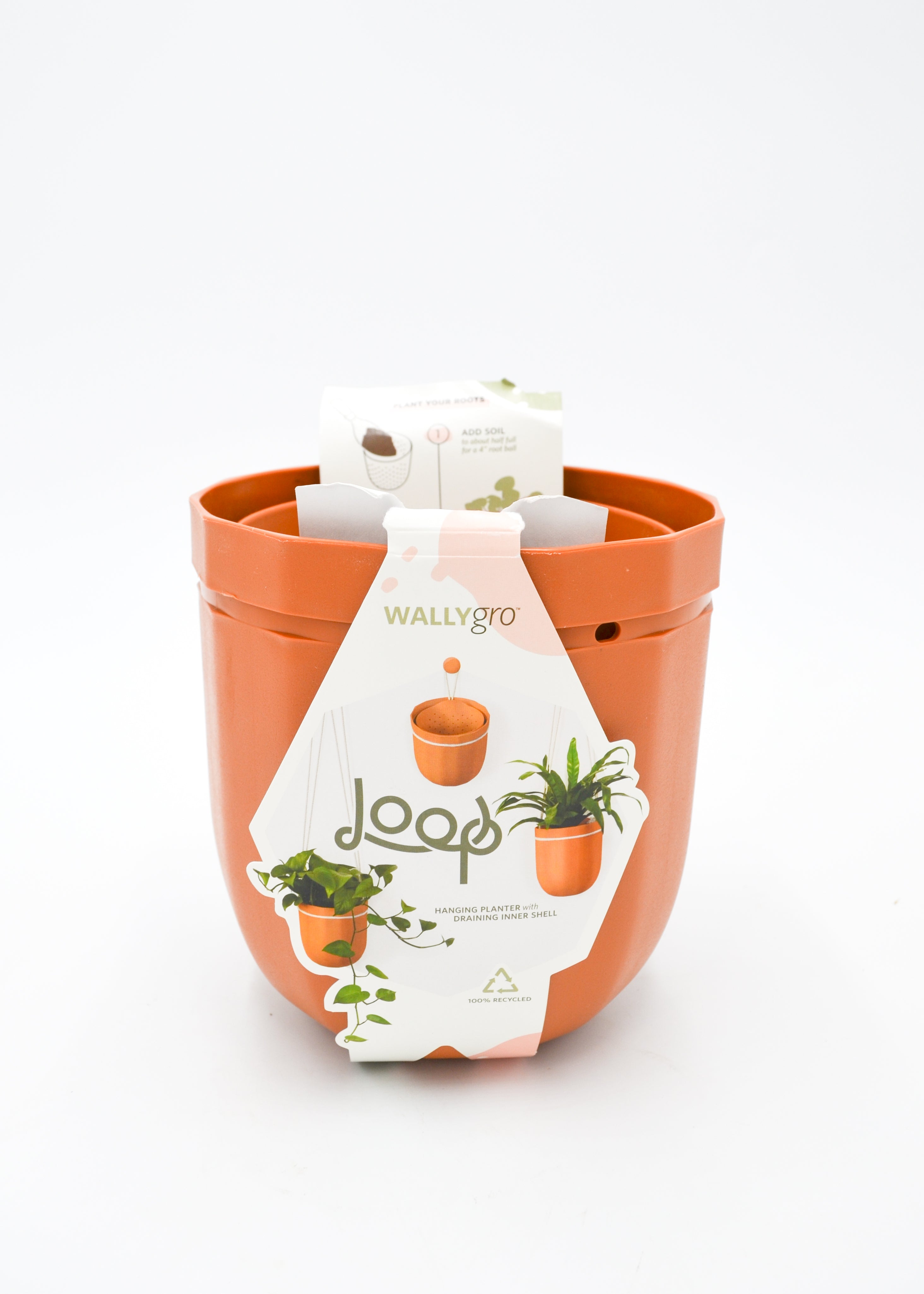Loop WallyGro Planters (10 Colors Available) by Wild Lark