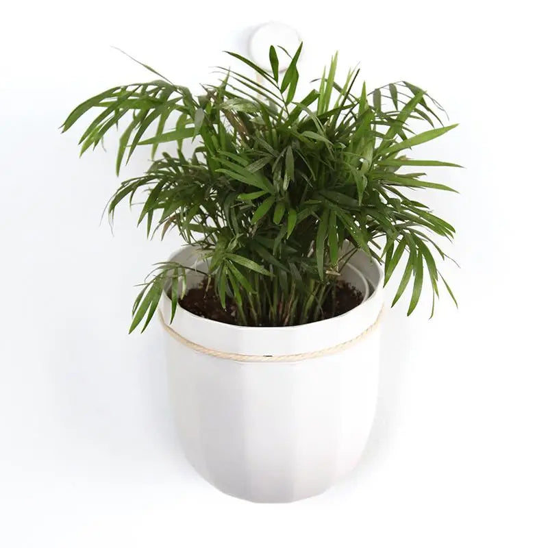 Loop WallyGro Planters (10 Colors Available) by Wild Lark