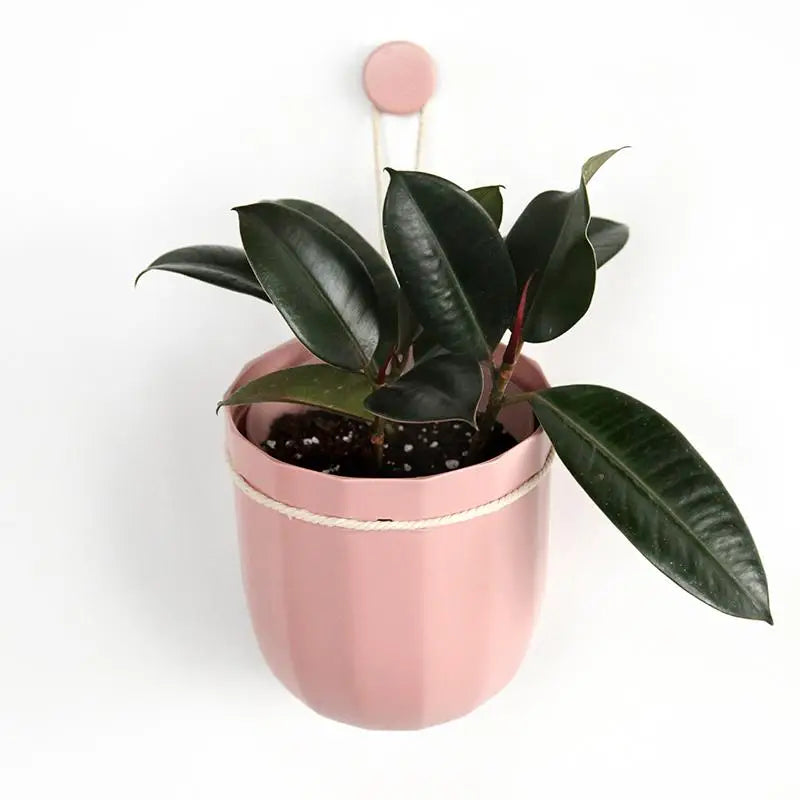 Loop WallyGro Planters (10 Colors Available) by Wild Lark