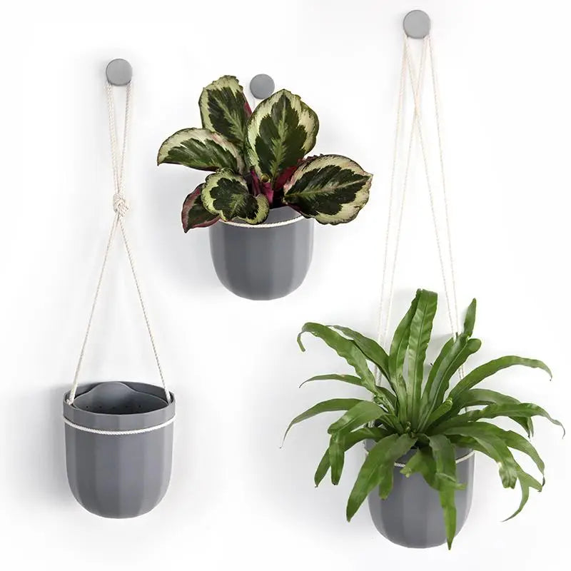 Loop WallyGro Planters (10 Colors Available) by Wild Lark