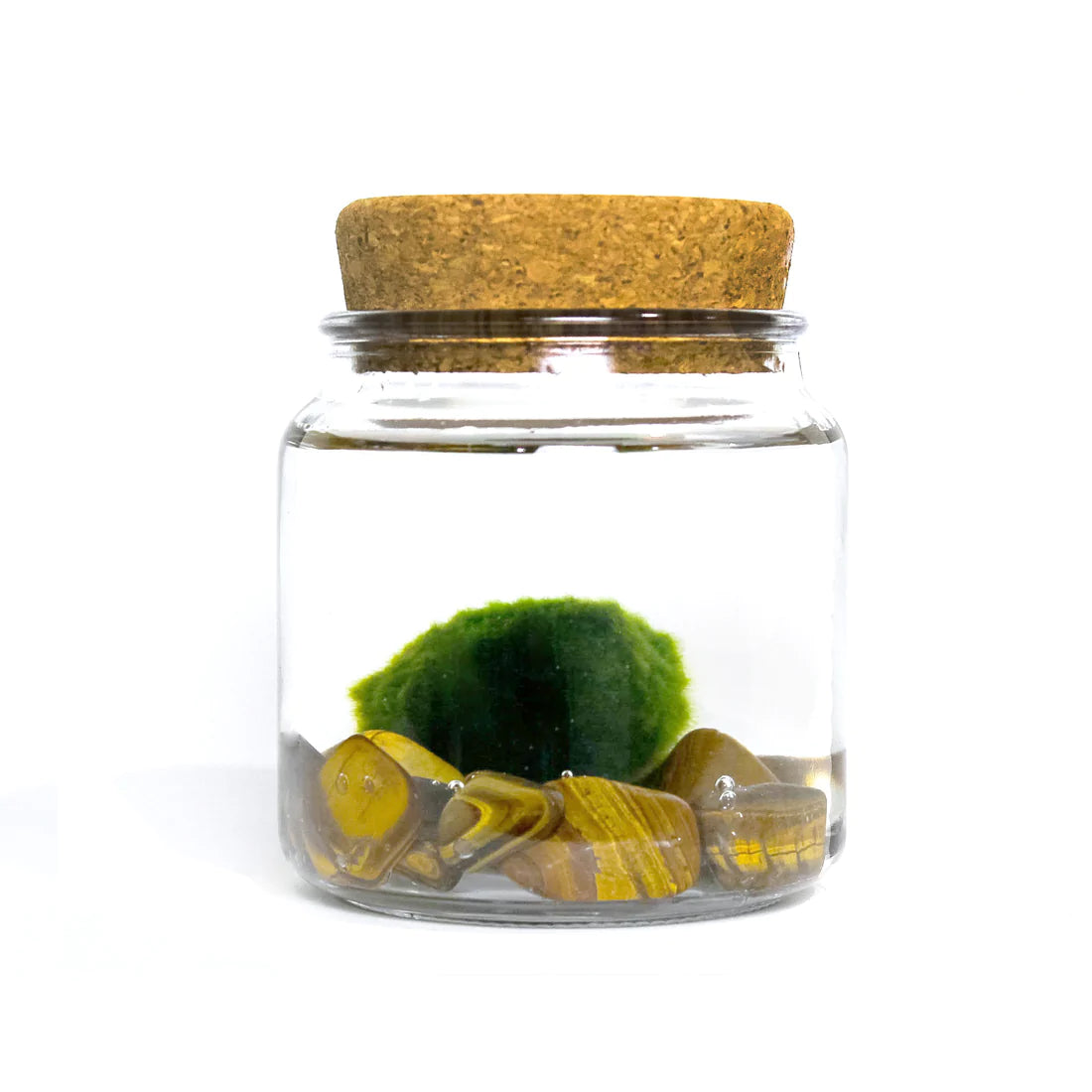 Large Moss Ball by Wild Lark