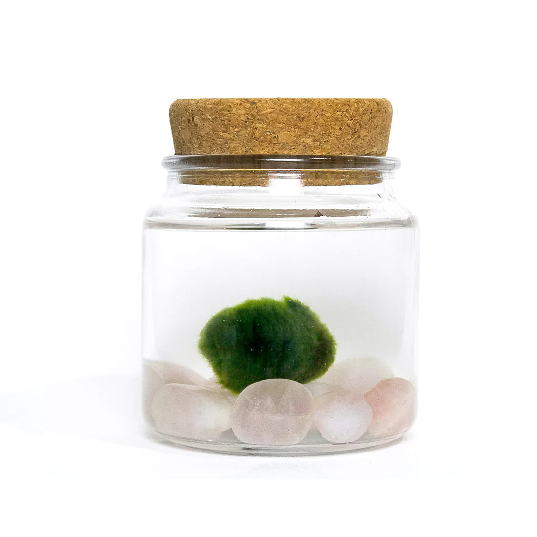Large Moss Ball by Wild Lark