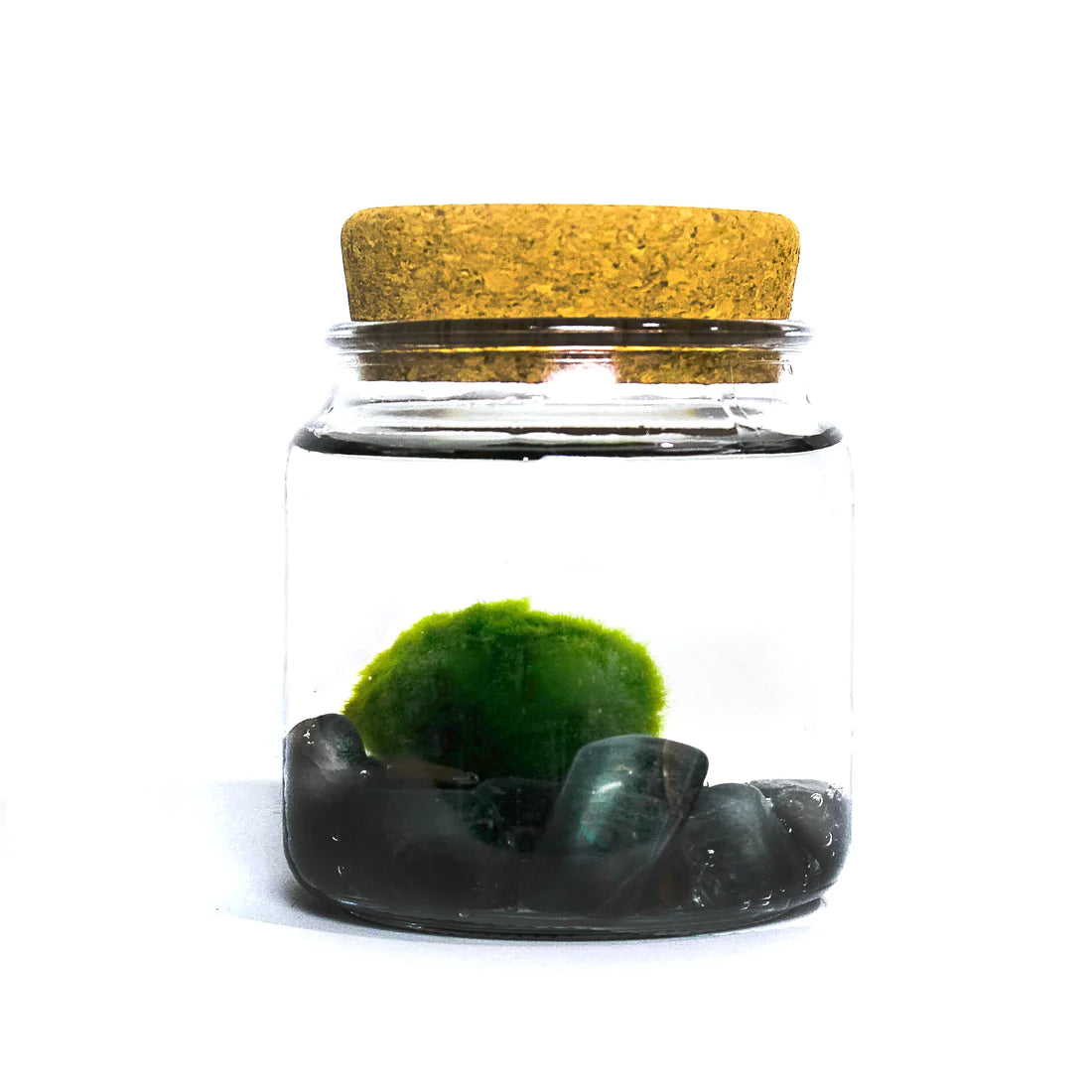 Large Moss Ball by Wild Lark