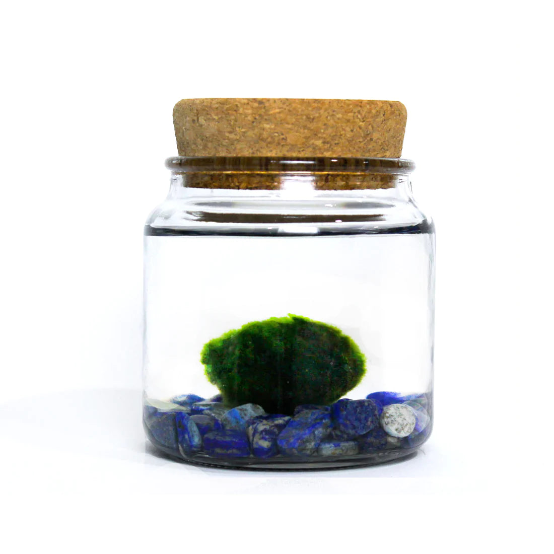 Large Moss Ball by Wild Lark