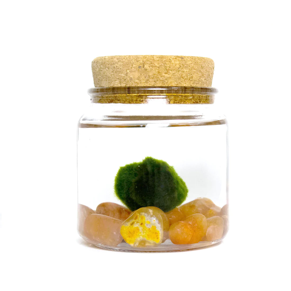Large Moss Ball by Wild Lark
