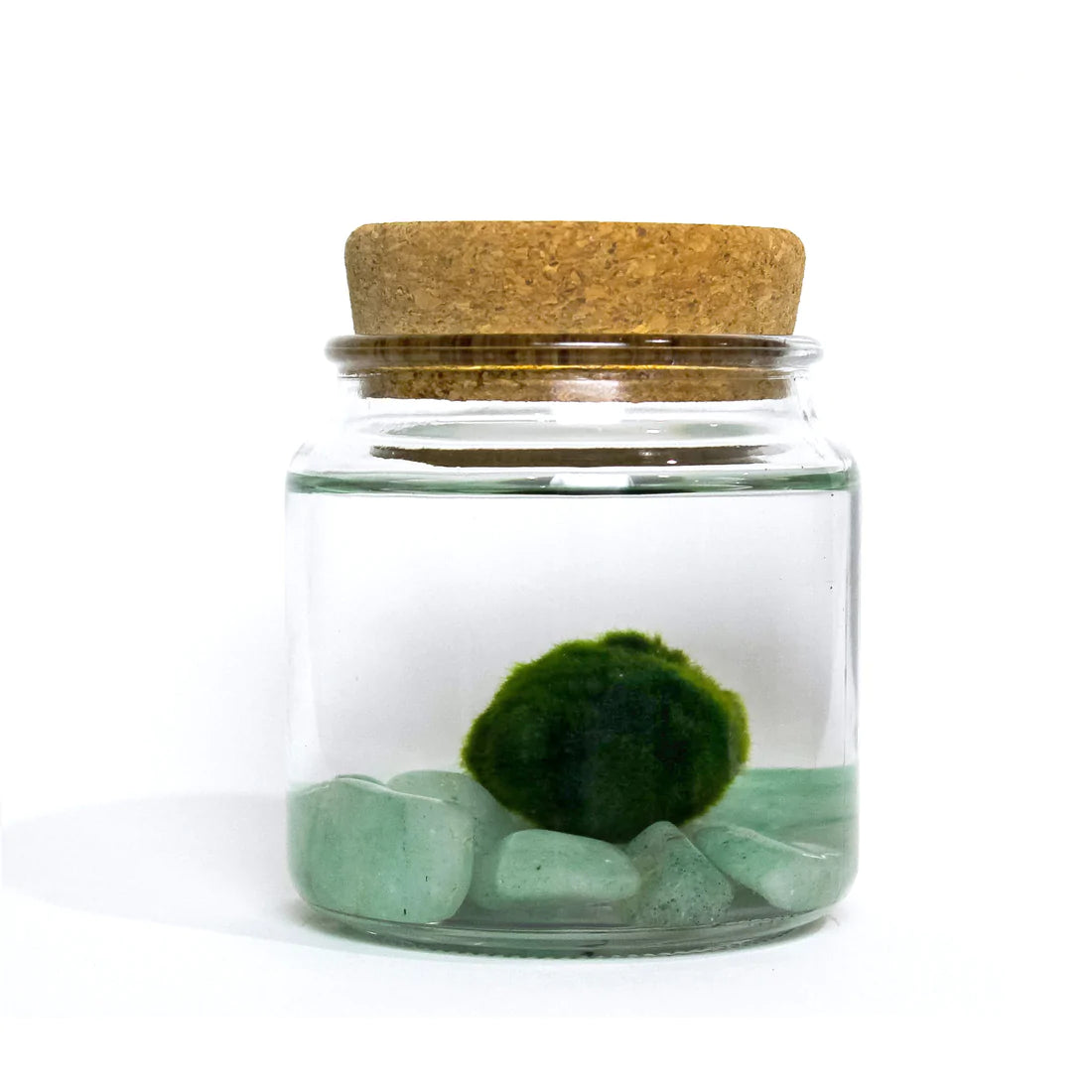 Large Moss Ball by Wild Lark