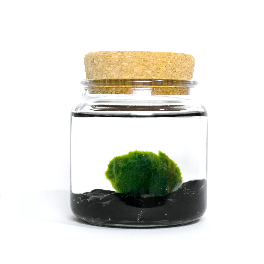 Large Moss Ball by Wild Lark