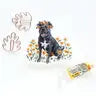 Dog and Flower Stickers by Wild Lark