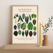 Leaf Identification Posters by Wild Lark
