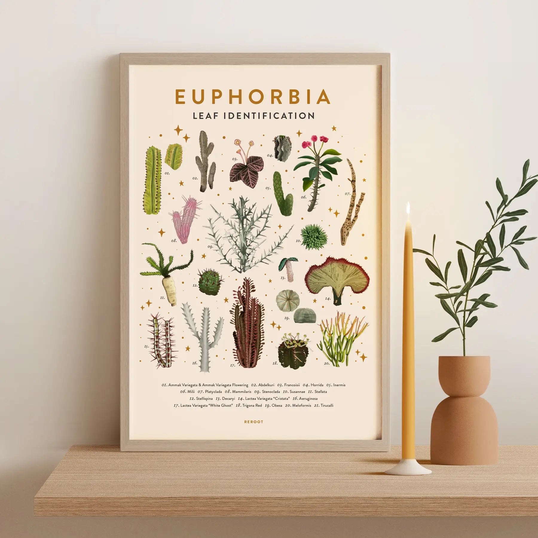 Leaf Identification Posters by Wild Lark