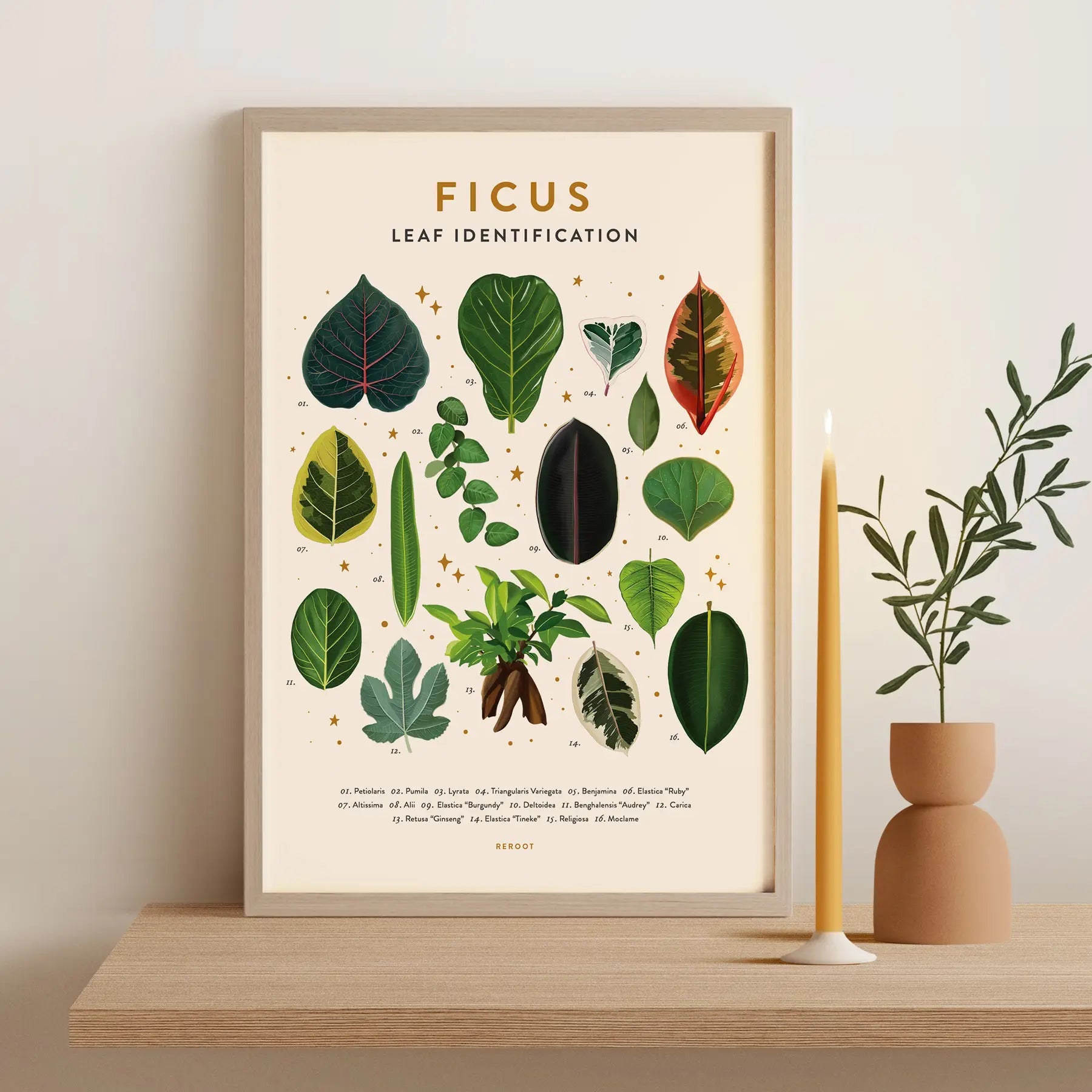 Leaf Identification Posters by Wild Lark