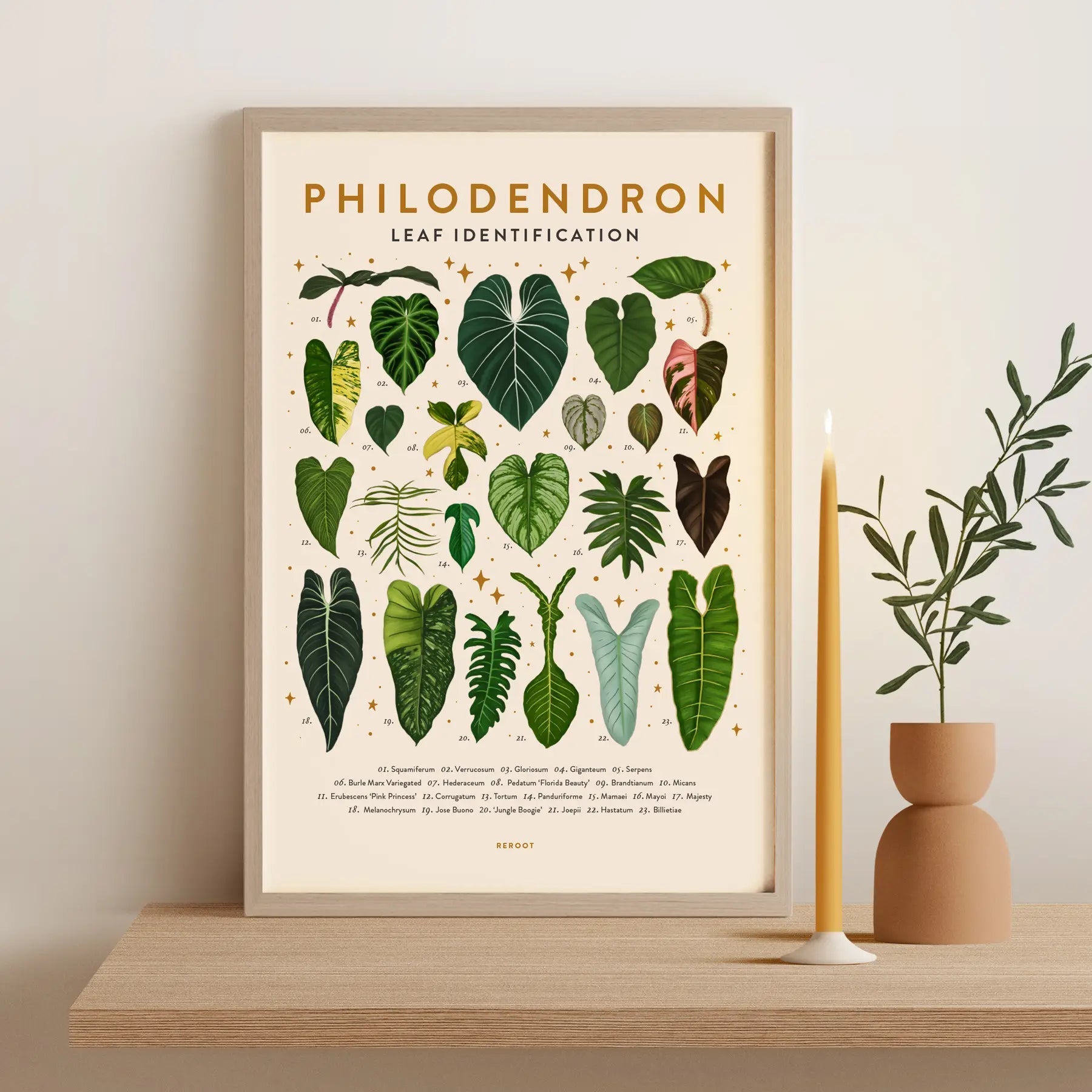 Leaf Identification Posters by Wild Lark