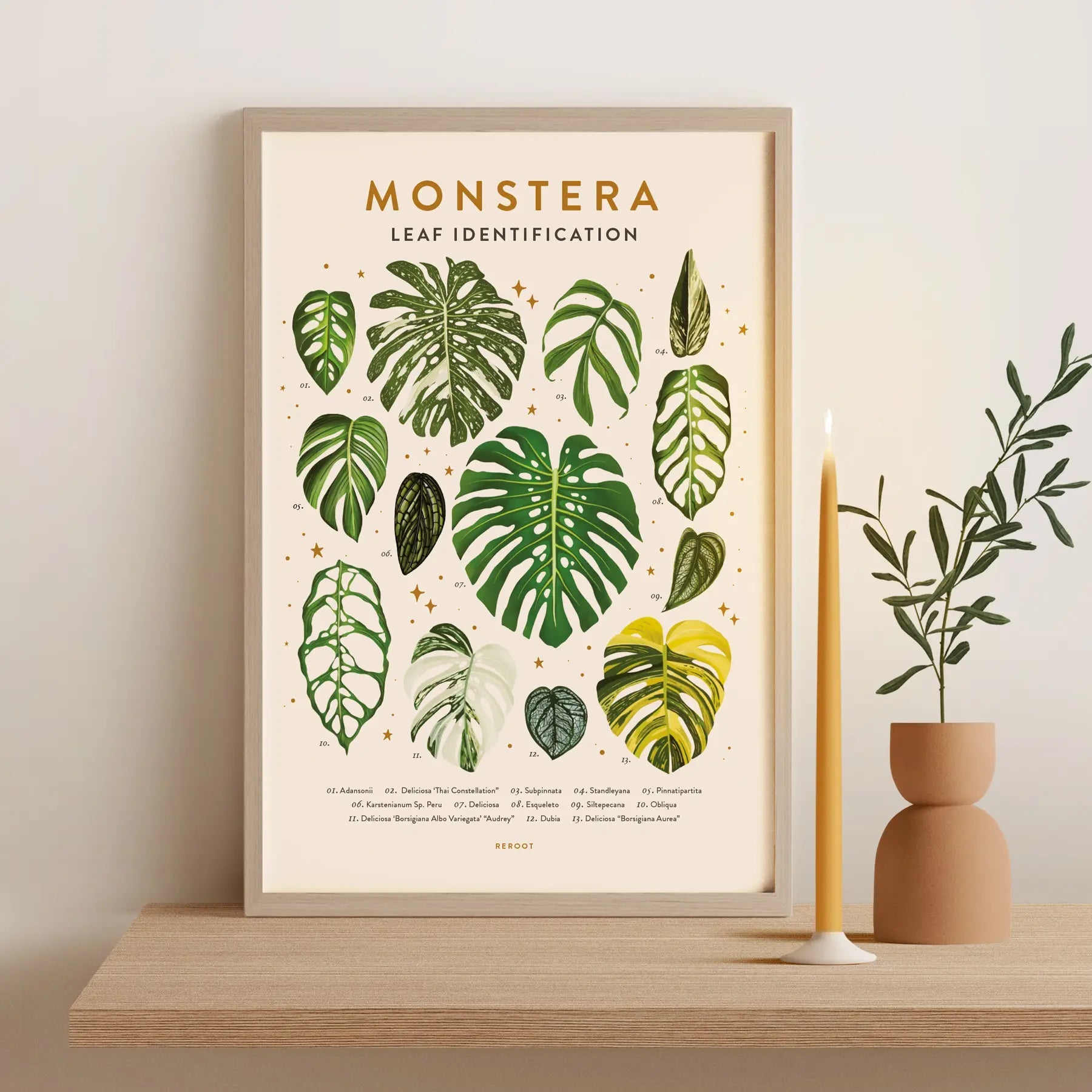 Leaf Identification Posters by Wild Lark