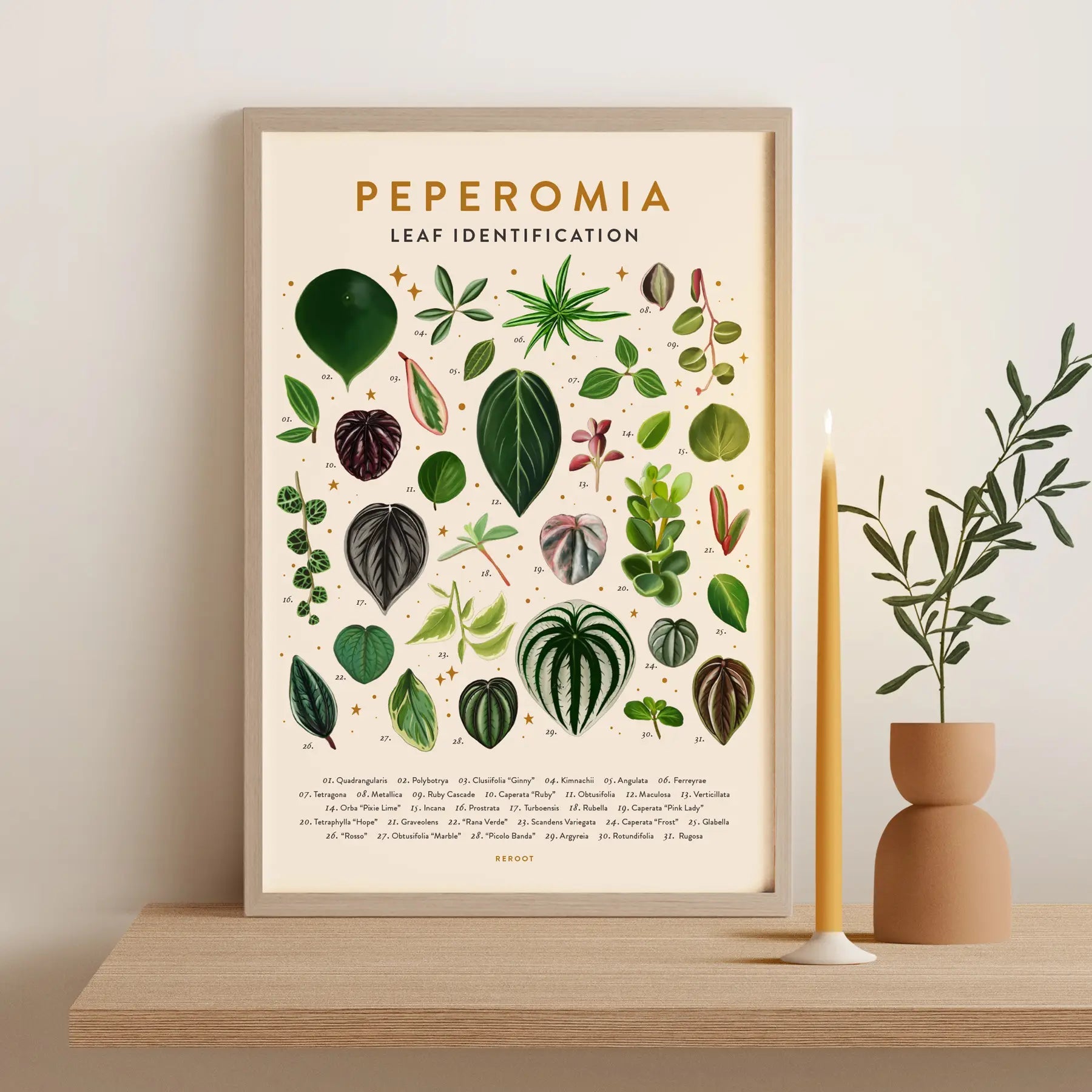 Leaf Identification Posters by Wild Lark