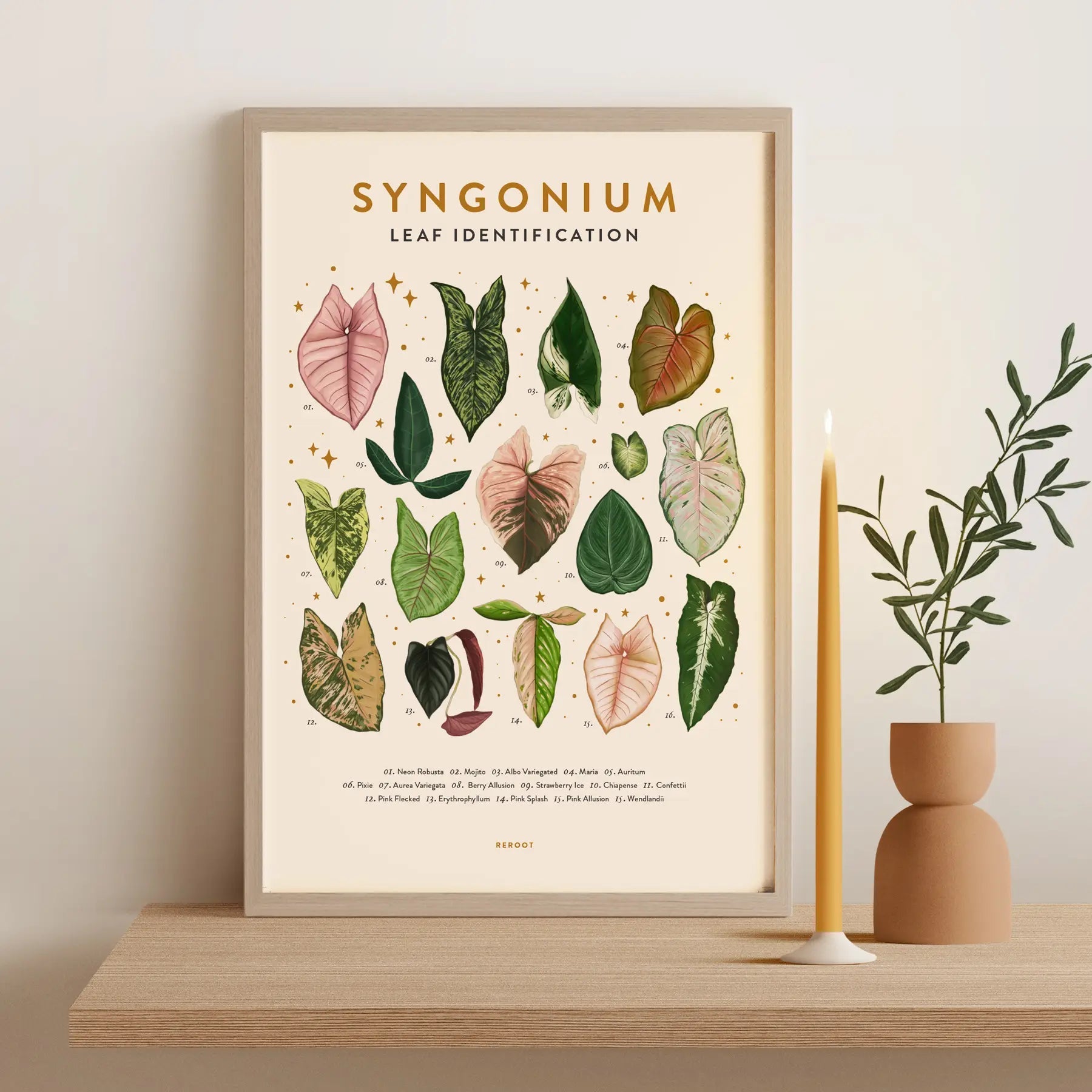 Leaf Identification Posters by Wild Lark