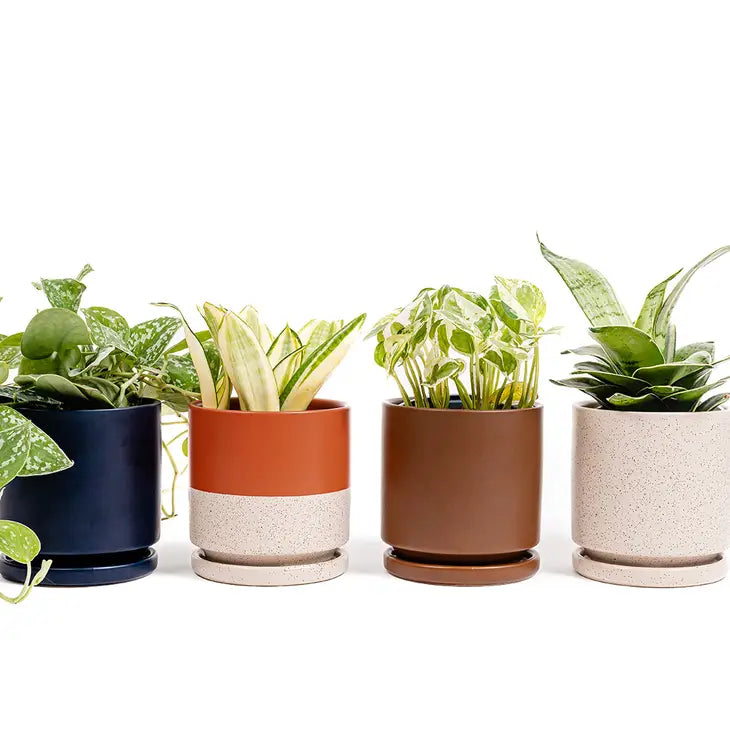 4.5" Campfire Cylinder Pots with Water Saucers by Wild Lark