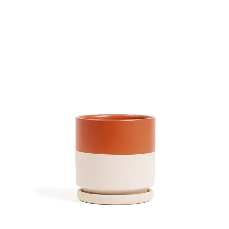 4.5" Campfire Cylinder Pots with Water Saucers by Wild Lark