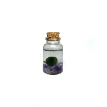 Moss Nino by Wild Lark