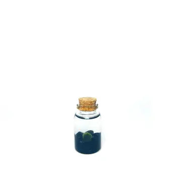 Moss Nino by Wild Lark