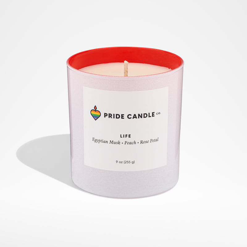 SALE! Pride 9oz Candle by Wild Lark