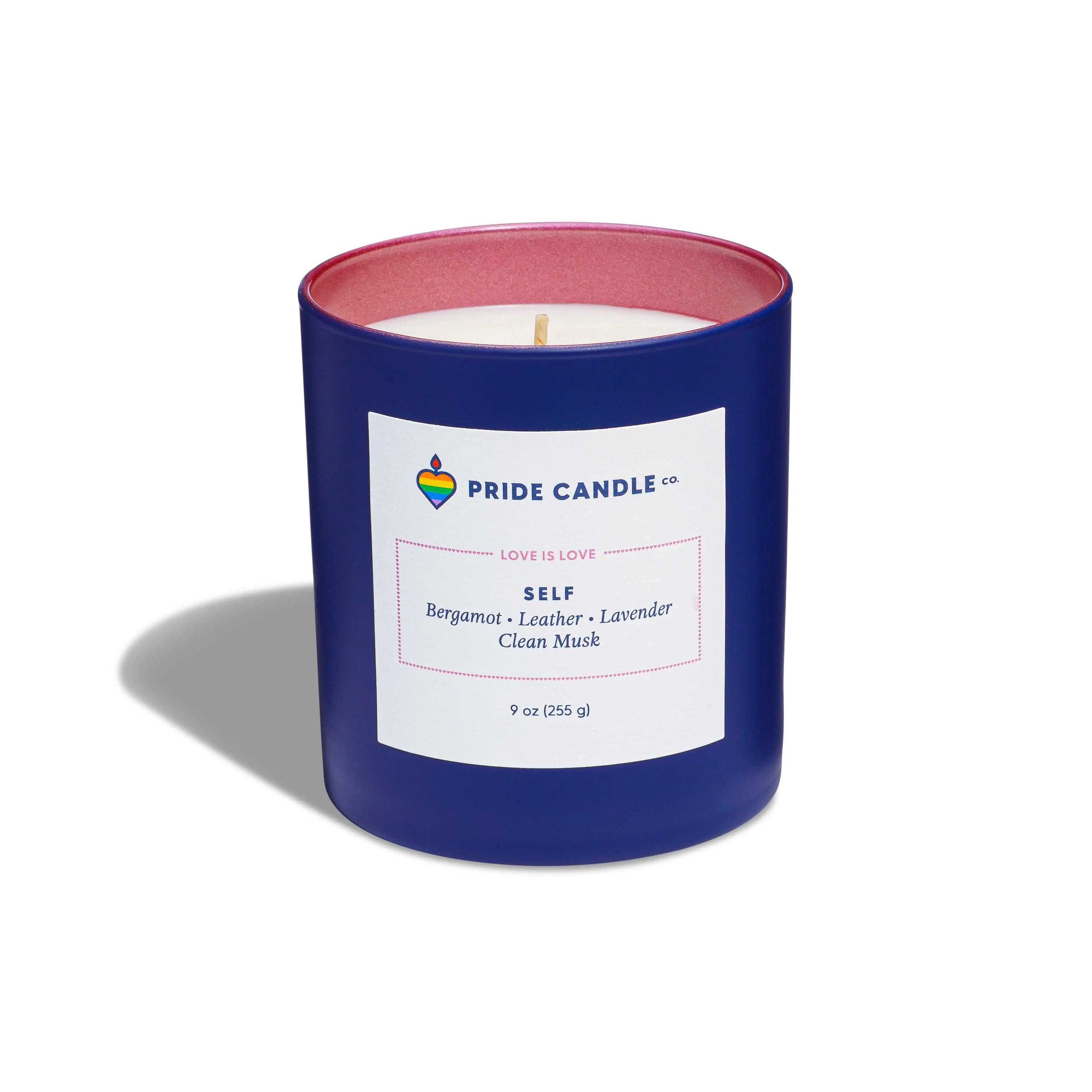 SALE! Pride 9oz Candle by Wild Lark