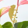 Plant Animal by Wild Lark