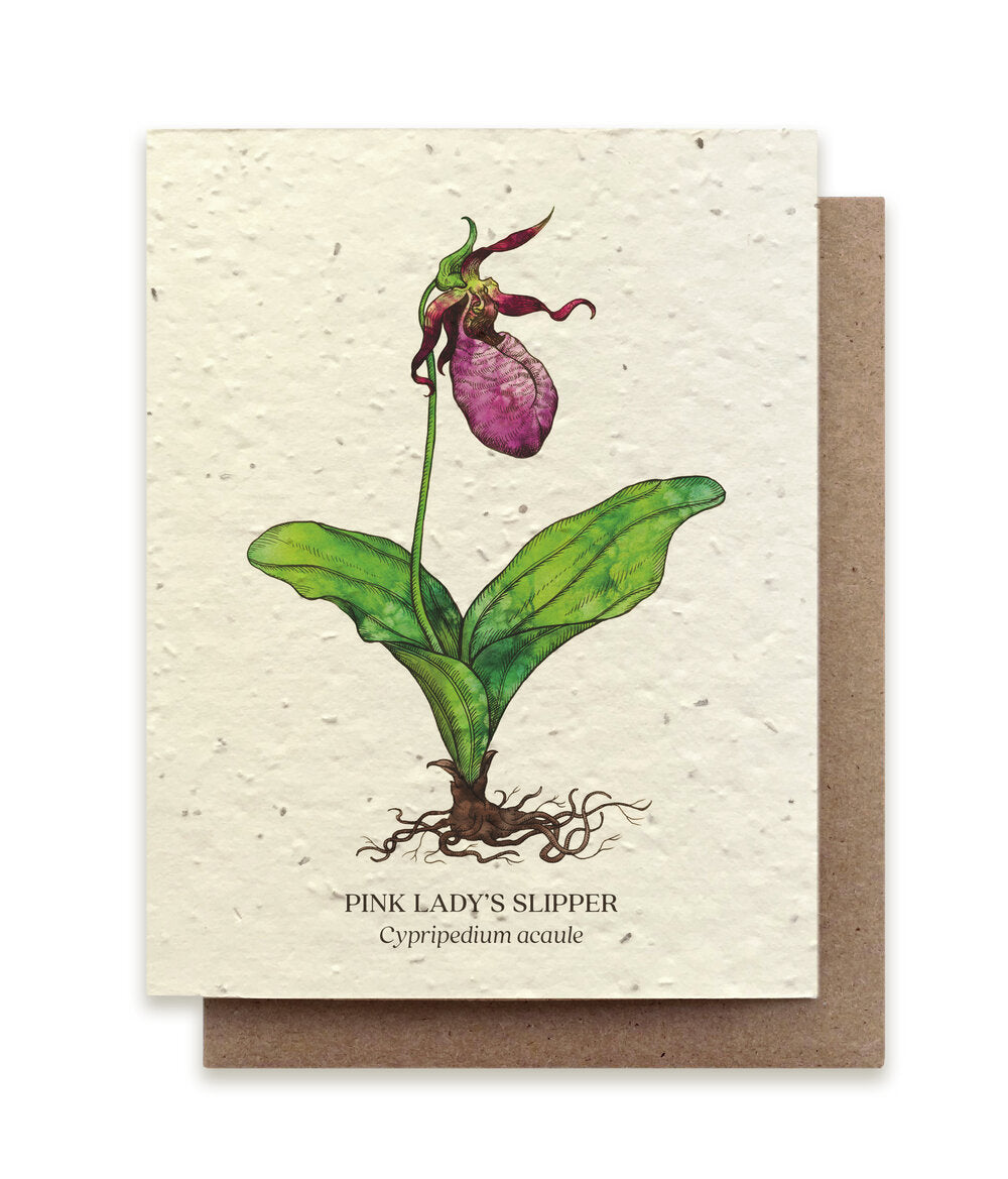 Plantable Wildflower Seed Card - Illustrated by Wild Lark