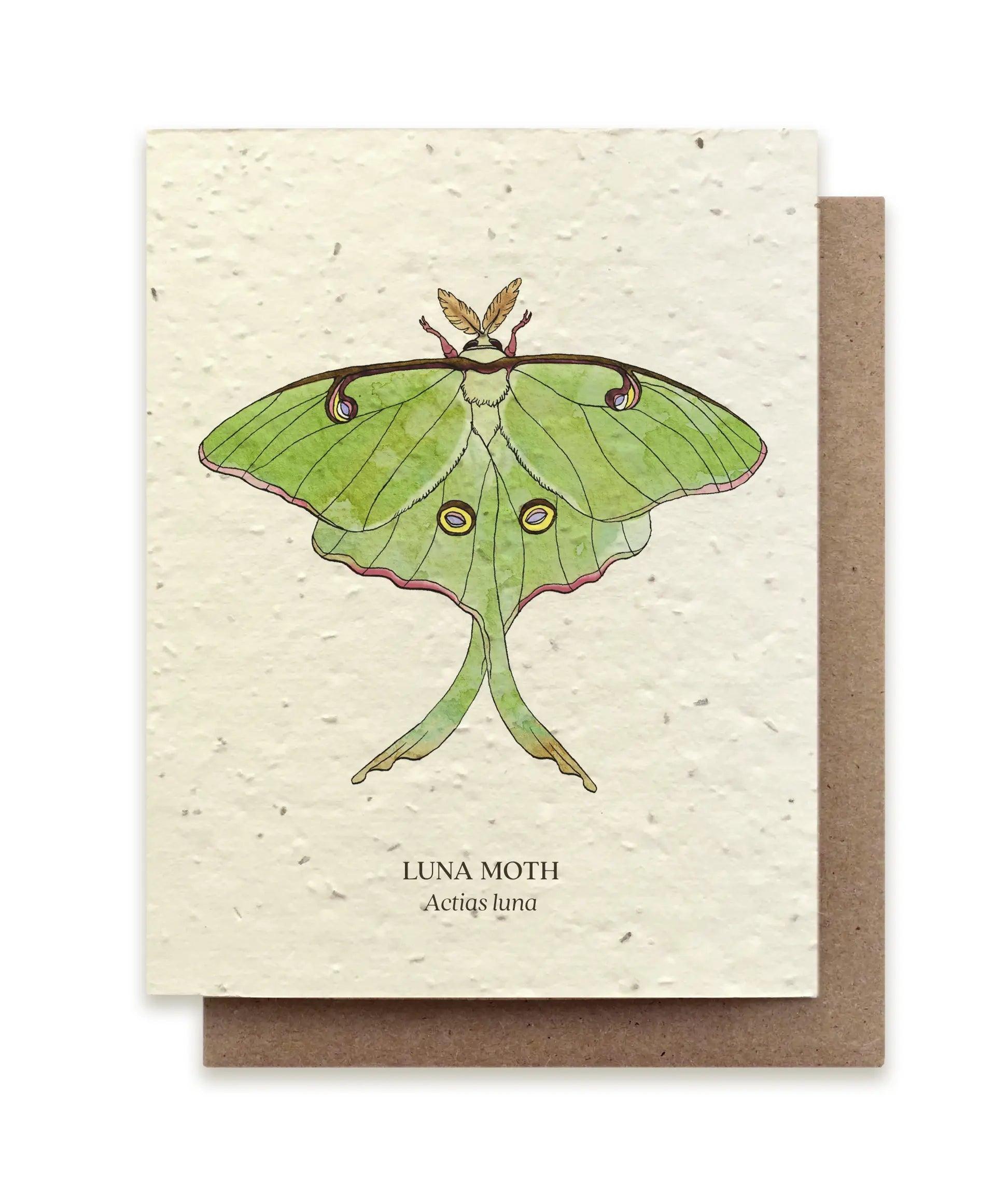 Plantable Wildflower Seed Card - Illustrated by Wild Lark