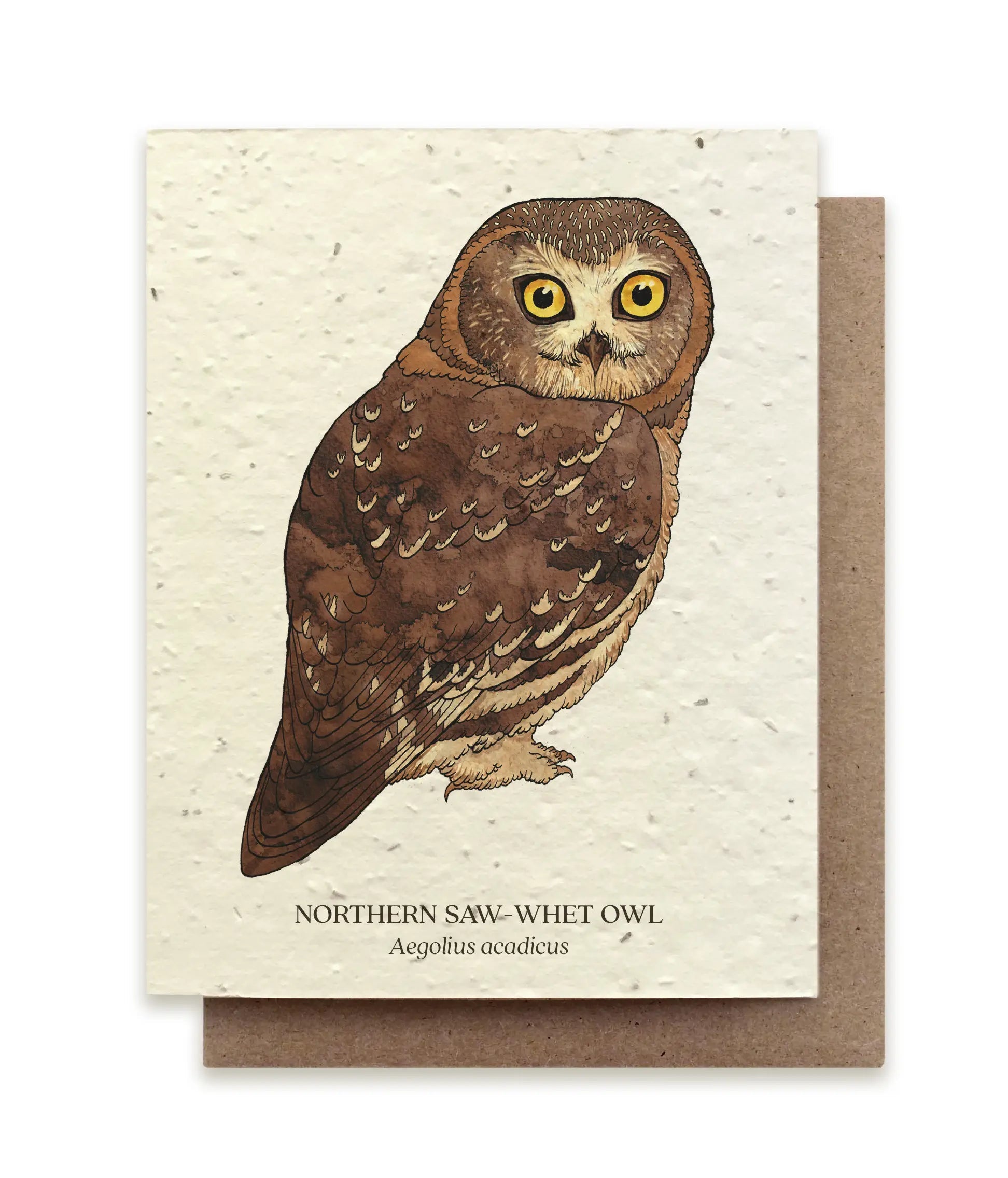 Plantable Wildflower Seed Card - Illustrated by Wild Lark