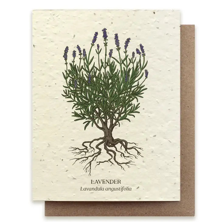 Plantable Wildflower Seed Card - Illustrated by Wild Lark