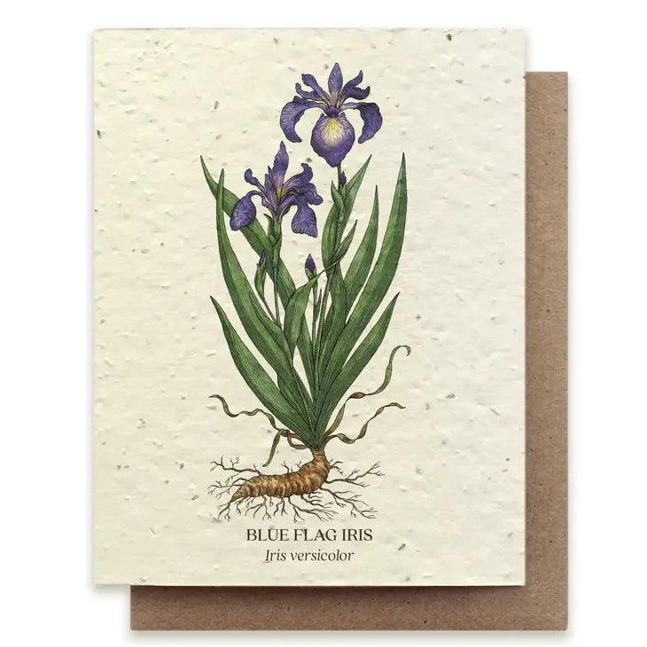 Plantable Wildflower Seed Card - Illustrated by Wild Lark