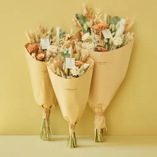 Dried Flowers Field Bouquet Apricot (Three Sizes Available) by Wild Lark