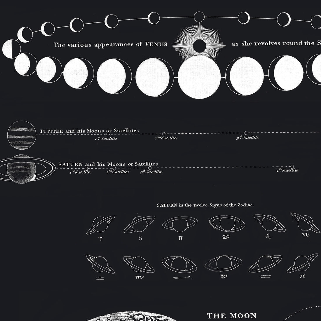 Vintage Astronomy Moon Map and Venus Print by Wild Lark