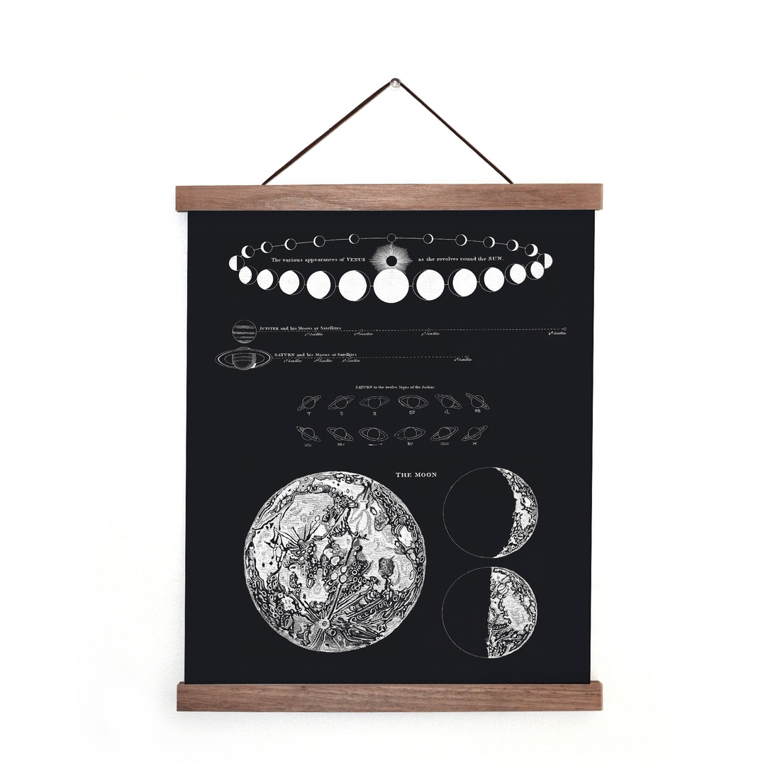 Vintage Astronomy Moon Map and Venus Print by Wild Lark