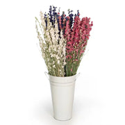 Dried Larkspur Bundle - 3 Colors Available by Wild Lark