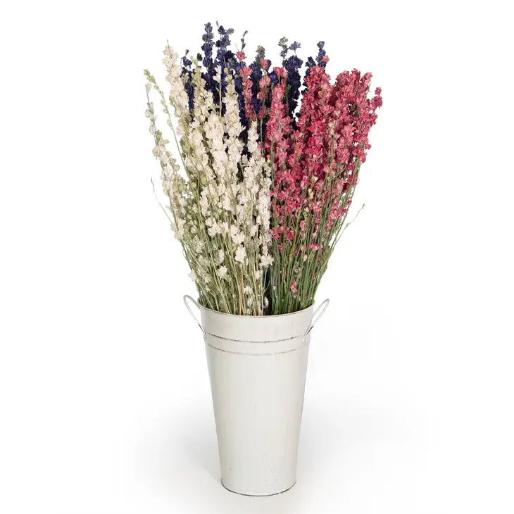 Dried Larkspur Bundle - 3 Colors Available by Wild Lark