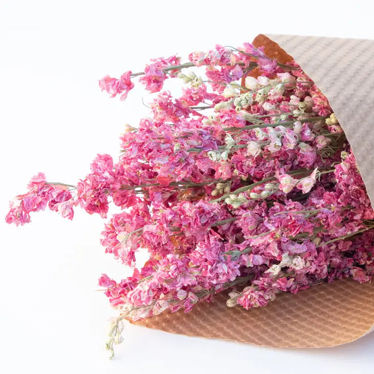 Dried Larkspur Bundle - 3 Colors Available by Wild Lark