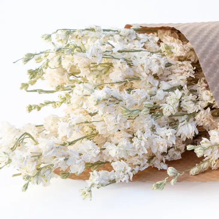 Dried Larkspur Bundle - 3 Colors Available by Wild Lark