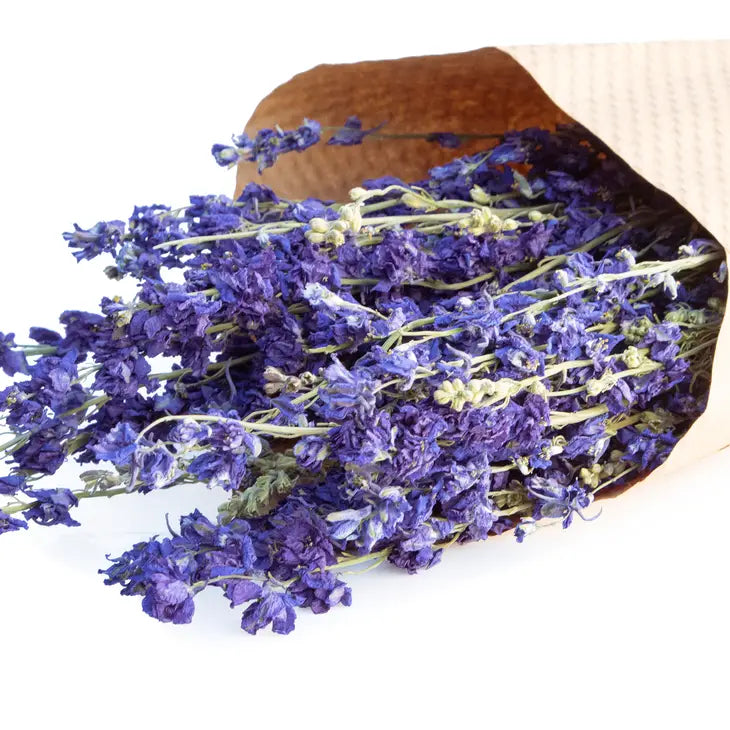 Dried Larkspur Bundle - 3 Colors Available by Wild Lark