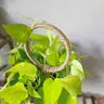 Jute Circle Plant Trellis by Wild Lark