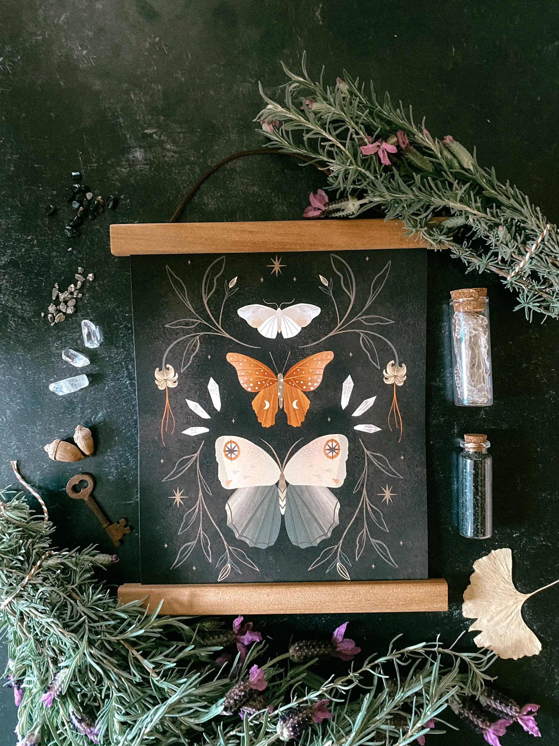The Collector - Art Print by Wild Lark