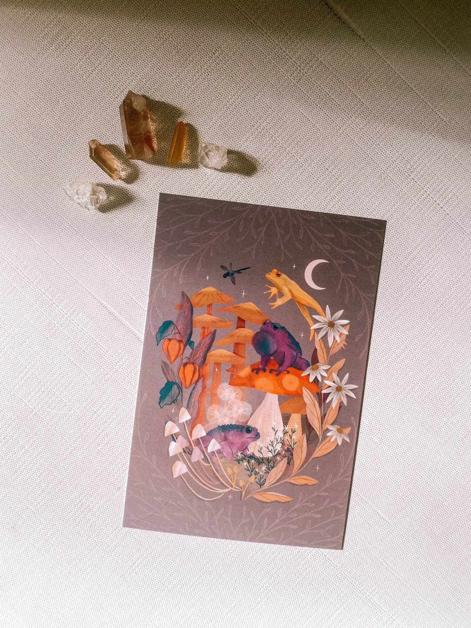 Toads and Toadstools - Art Print by Wild Lark