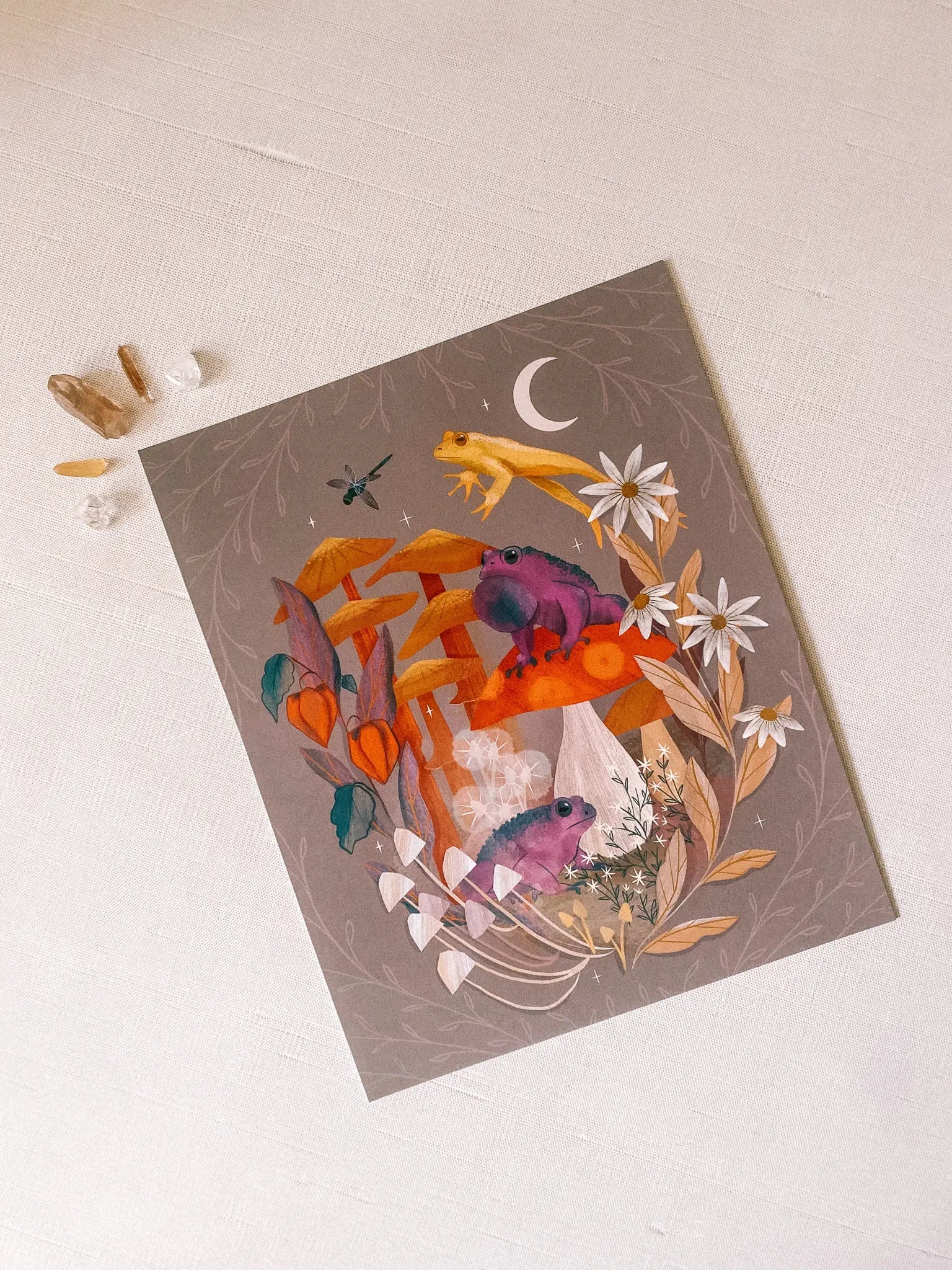 Toads and Toadstools - Art Print by Wild Lark
