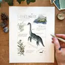 Loch Ness Monster Field Report 8"x10" Print by Wild Lark