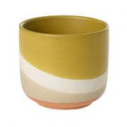 Mustard Yellow and White stripe Matte Ceramic Pot by Wild Lark