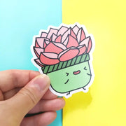 Echeveria Pink Champaigne Vinyl Sticker by Wild Lark
