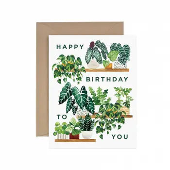 Plant Shelf Happy Birthday Greeting Card by Wild Lark