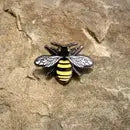 Sipsey Wilder Pins by Wild Lark